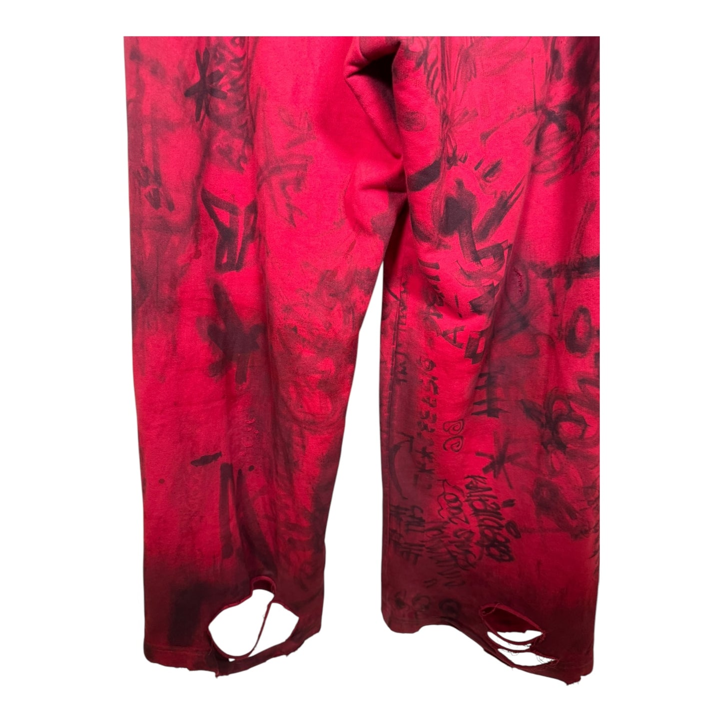 Balenciaga Distressed Skater Sweatpants