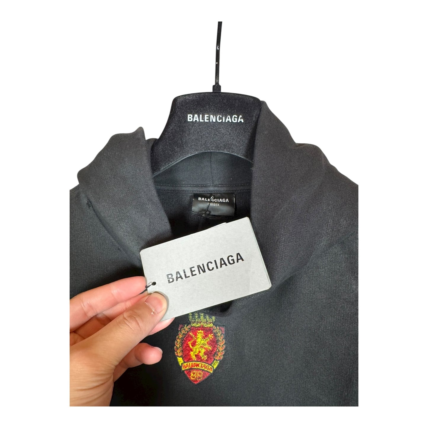 Balenciaga Distressed Skater Hoodie